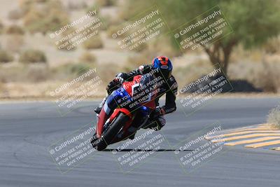 media/May-14-2023-SoCal Trackdays (Sun) [[024eb53b40]]/Turn 5 Tree of Life (1125am)/